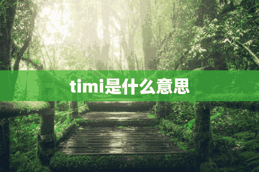 timi是什么意思